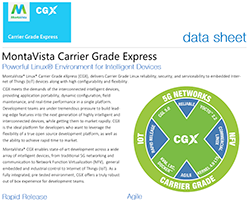 몬타비스타 Carrier Grade eXpress (CGX)